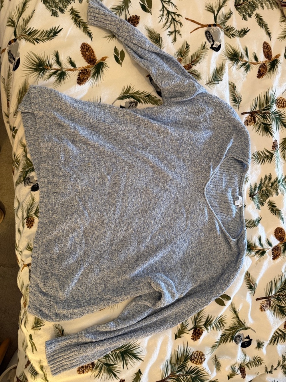 J. Jill Light Blue Heathered V-Neck Sweater